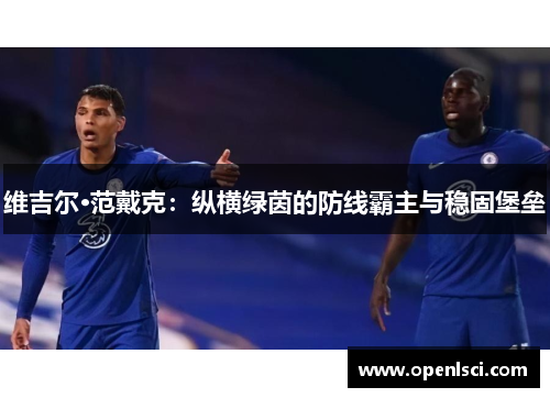 维吉尔·范戴克：纵横绿茵的防线霸主与稳固堡垒