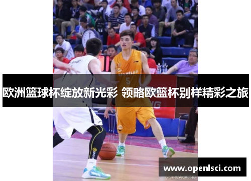 欧洲篮球杯绽放新光彩 领略欧篮杯别样精彩之旅