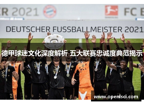 德甲球迷文化深度解析 五大联赛忠诚度典范揭示