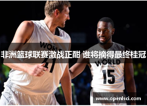 非洲篮球联赛激战正酣 谁将摘得最终桂冠